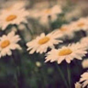 Meet your Posher, Sabrina